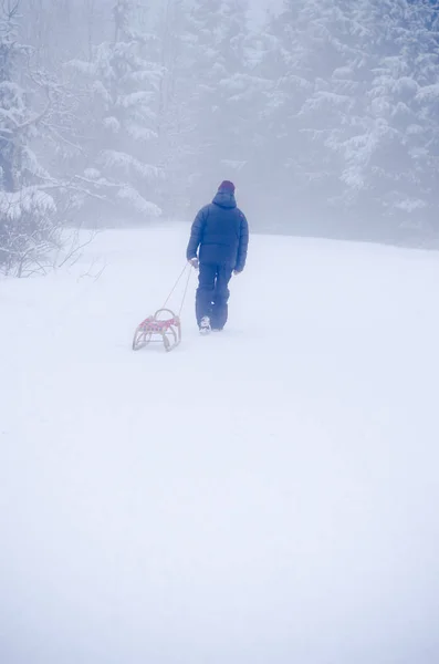Ormanda Kış Kızağı Ile Tek Başına Yürüyen Adam — Stok fotoğraf