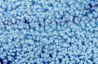 arka plan üzerinde kış pencere dondurulmuş soyut