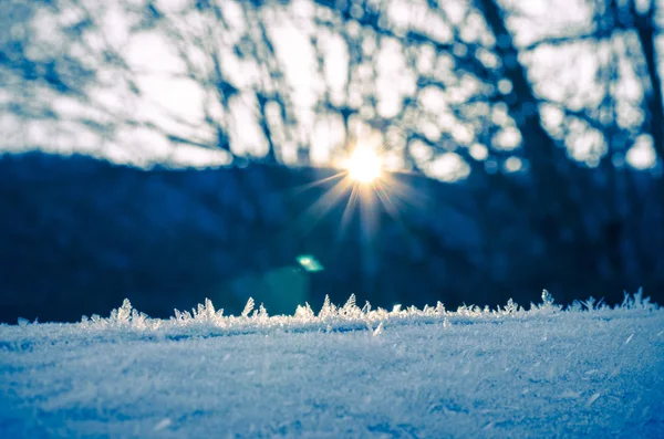 Kış Manzarası Ile Turuncu Günbatımı — Stok fotoğraf