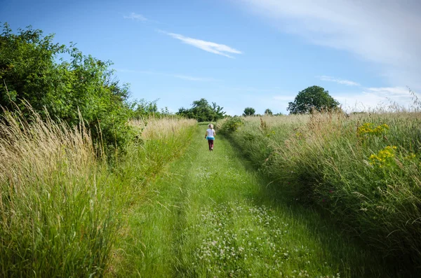 Kırsal yolu düşünce yeşil çayır — Stok fotoğraf