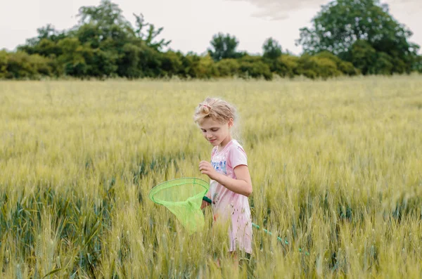 Piccolo bambino cattura farfalle — Foto Stock