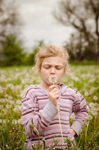 Cute child blowing dandelion flower — Stock Photo, Image