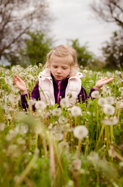 Cute child blowing dandelion flower — Stock Photo, Image