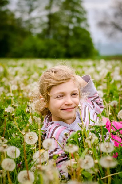 Cute child in blossoming dandelion flower meadow — Stock Photo, Image