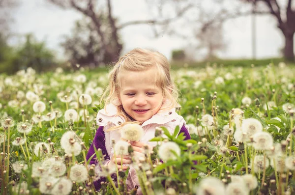 Bellissimo bambino in fiore dente di leone fiore prato — Foto Stock