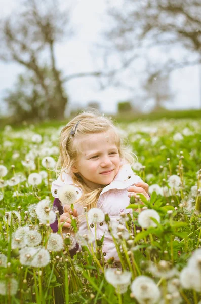 Criança bonita no prado de flor de dente-de-leão florescente — Fotografia de Stock