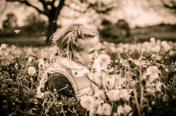 Vacker unge i blommande maskros blomma äng — Stockfoto