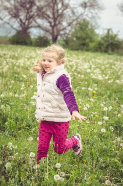 Bahar çayırda çalıştıran