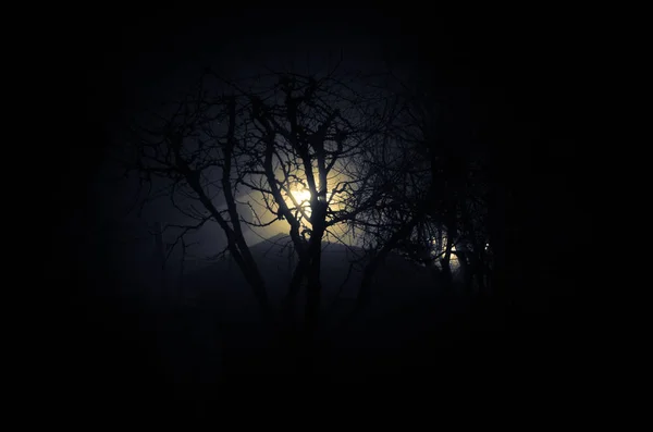 Notte buia con luna — Foto Stock
