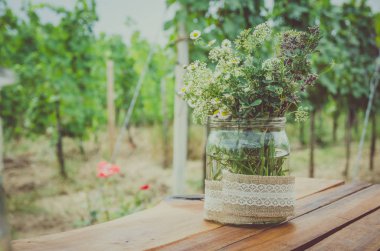 Üzüm bağı atmosferi