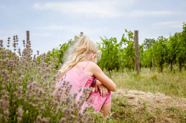 Kleines Mädchen in grünem Weinberg — Stockfoto