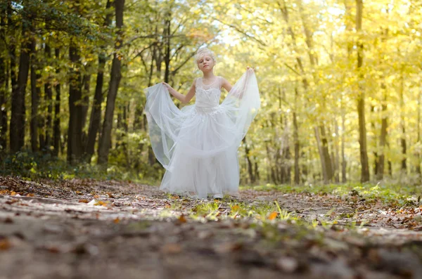 ロマンチックな森の妖精 — ストック写真
