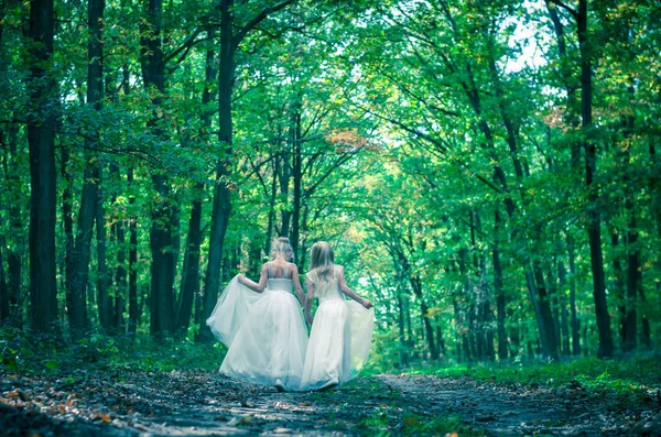 Romantické lesní víly — Stock fotografie
