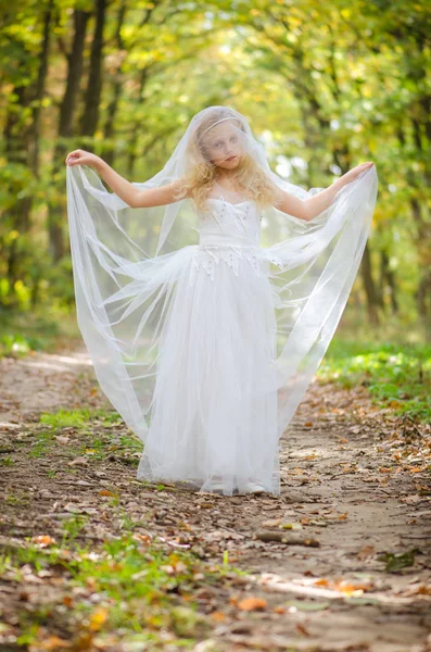 Autumn in forest — Stock Photo, Image