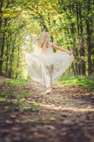 Princesa fada em bosques não deixando lugar nenhum — Fotografia de Stock