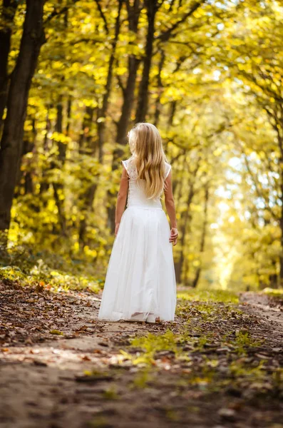 Adorável menina loira andando em dia ensolarado na floresta mágica — Fotografia de Stock