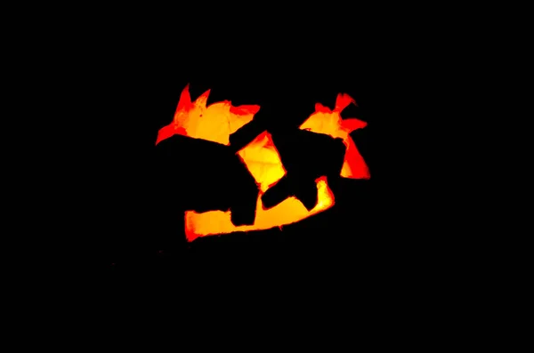 Aydınlatılmış korkunç cadılar bayramı balkabakları gecenin karanlığında parlıyor — Stok fotoğraf