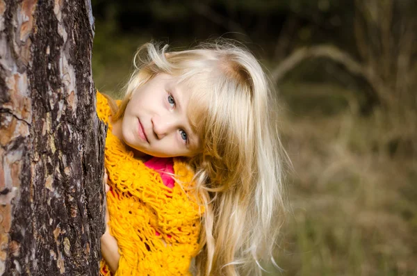 Красивый ребенок прячет ствол дерева в лесу — стоковое фото