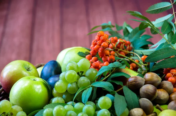 Group of healthy autumnal colorful fruits — Stock Photo, Image