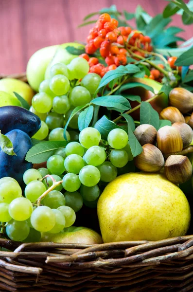 Group of healthy autumnal colorful fruits — Stock Photo, Image