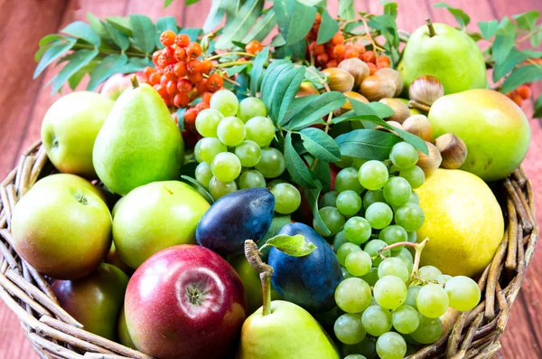 健康的な秋のカラフルな果物のグループ — ストック写真
