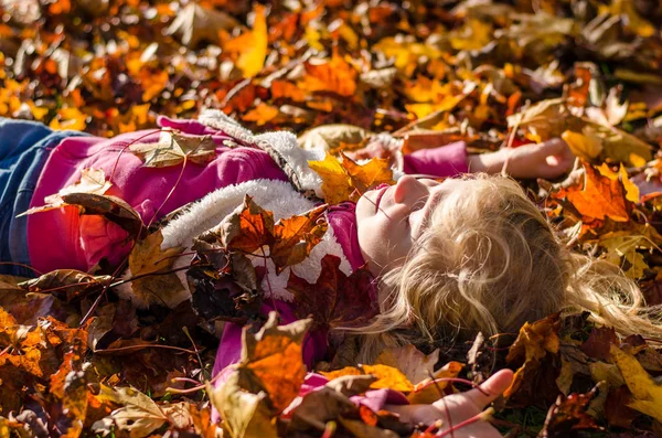 Cute kid playing with fallen colorful leaves — Stock Photo, Image