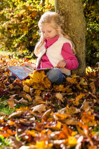 Adorable blond child reading book by the trunk in autumnal sunset afmosphere — Stock Photo, Image