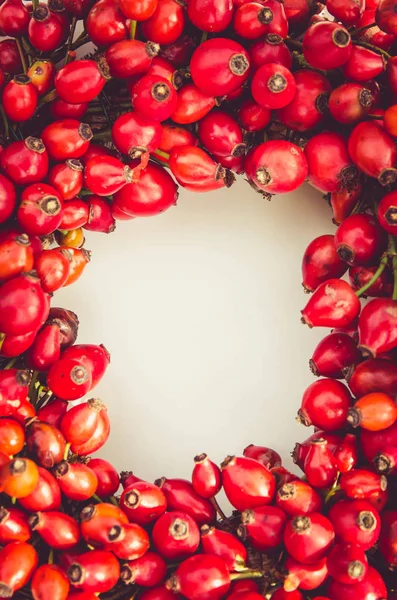 Red briar wreath — Stock Photo, Image