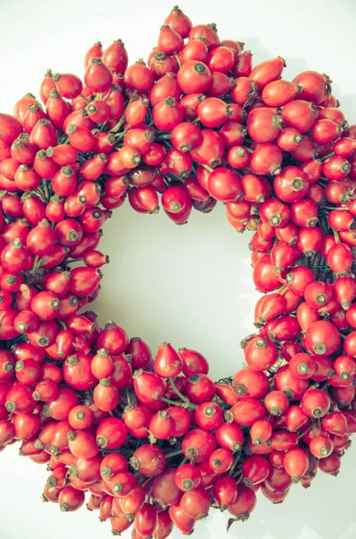 Frame from healthy red rosehip berries — Stock Photo, Image