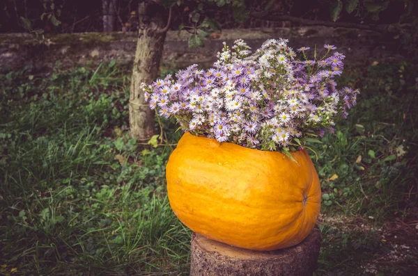 秋の花の装飾 — ストック写真