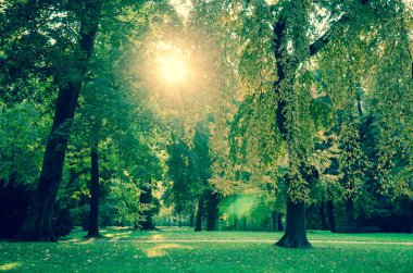 güneşli ekim öğleden sonra