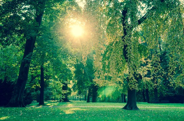 güneşli ekim öğleden sonra