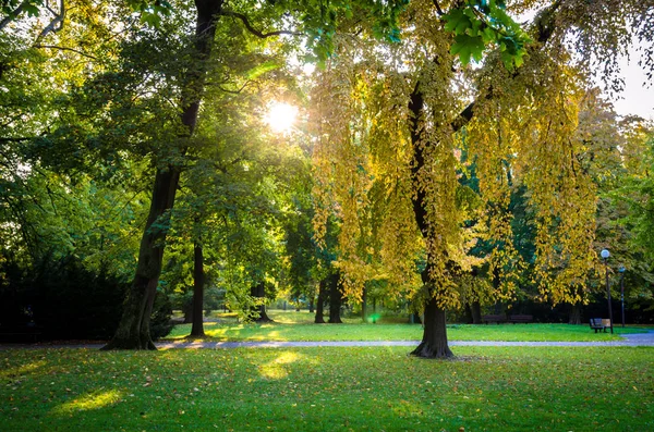 Ensoleillé octobre après-midi — Photo