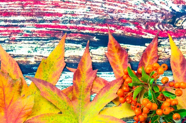 Bright orange maple leaves decoration — Stock Photo, Image