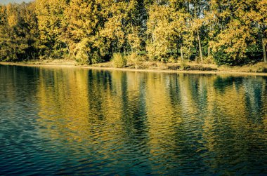 Sudaki ağacın yansıması