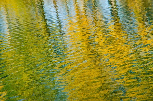Абстрактное отражение апельсиновых деревьев в воде — стоковое фото