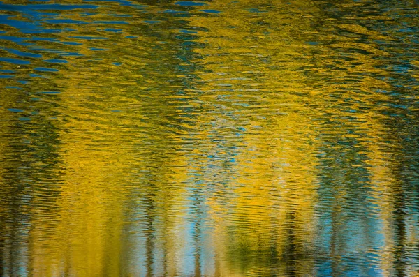 Reflexión abstracta de naranjos en el agua — Foto de Stock