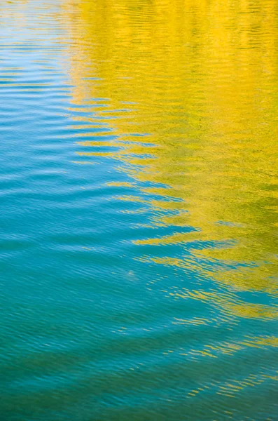 Abstract reflection of orange trees in the water — Stock Photo, Image