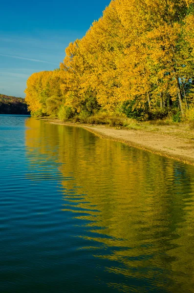 Réflexion de l'arbre dans l'eau — Photo