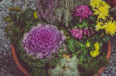 Azizler Günü 'nde mezardaki renkli çiçek süslemeleri.