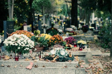 mezarlıkta sonbahar huzurlu atmosferi