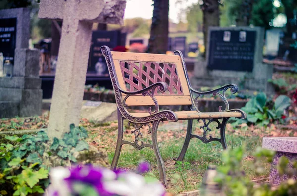 묘지에 벤치 — 스톡 사진