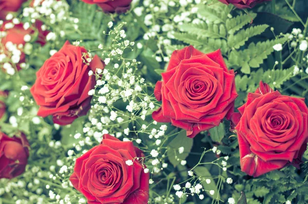 Bouquet di rose rosse — Foto Stock