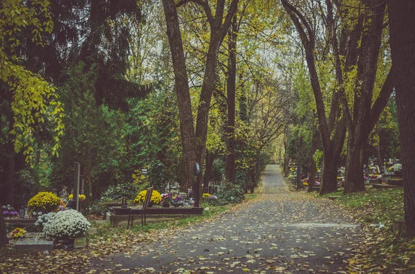Autumnal aisle path in the cemetery — Stock Photo, Image