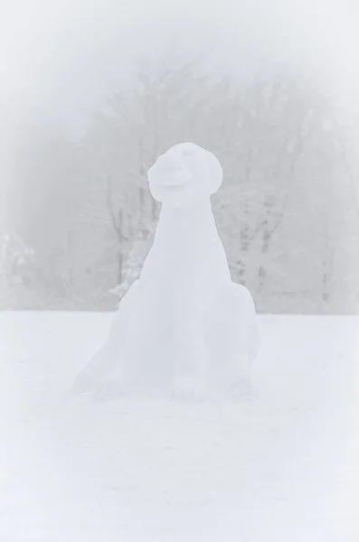 Tempo criativo feliz no tempo de inverno no país das maravilhas mágicas — Fotografia de Stock