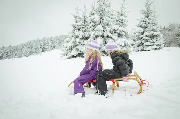Güzel sihirli kış doğada kızak ile eğlenmek — Stok fotoğraf