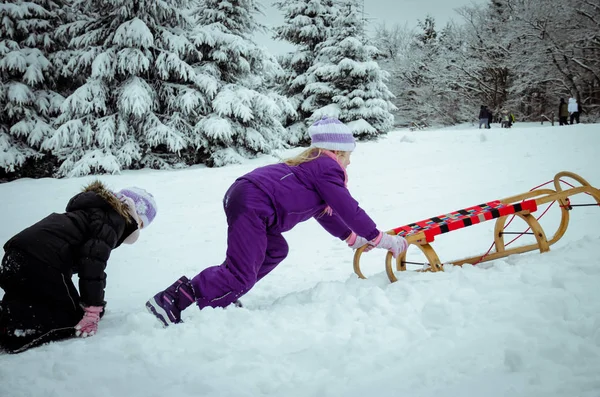 Kış doğasında kızakla eğlenmek. — Stok fotoğraf