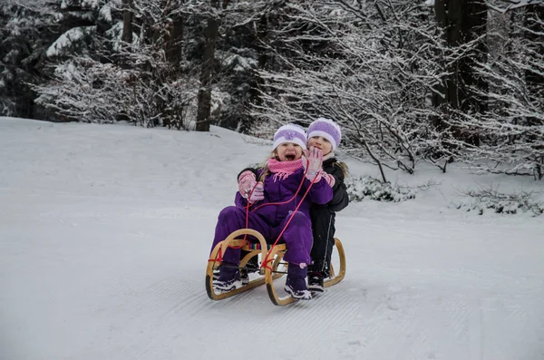 Mutlu gülümseyen çocuklar, kış ormanlarında kızakla eğleniyorlar. — Stok fotoğraf