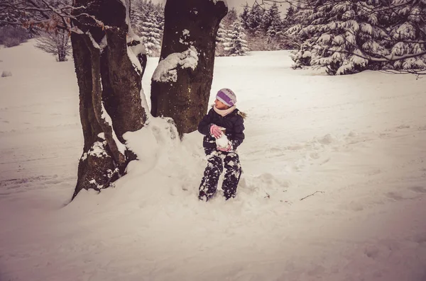 Kardan adam çok mutlu kış zamanı — Stok fotoğraf