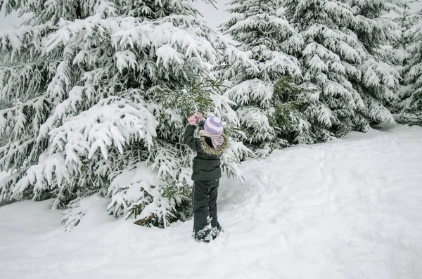 Małe dziecko w wieku przedszkolnym w zimie natura — Zdjęcie stockowe